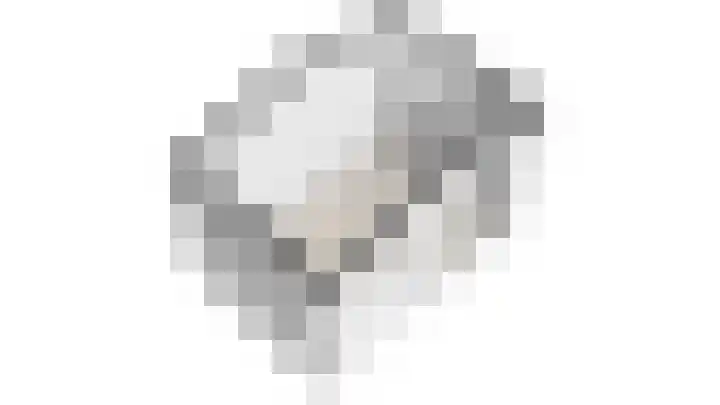 Raadhuisstraat 59 Balk thumbnail 40