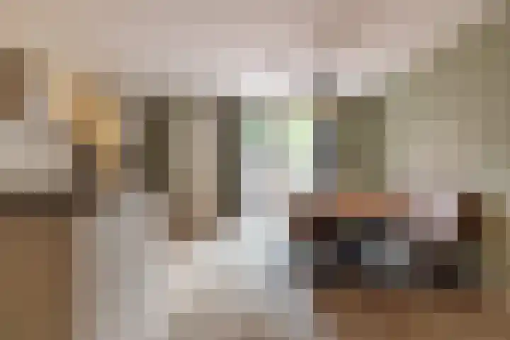 Raadhuisstraat 59 Balk thumbnail 6