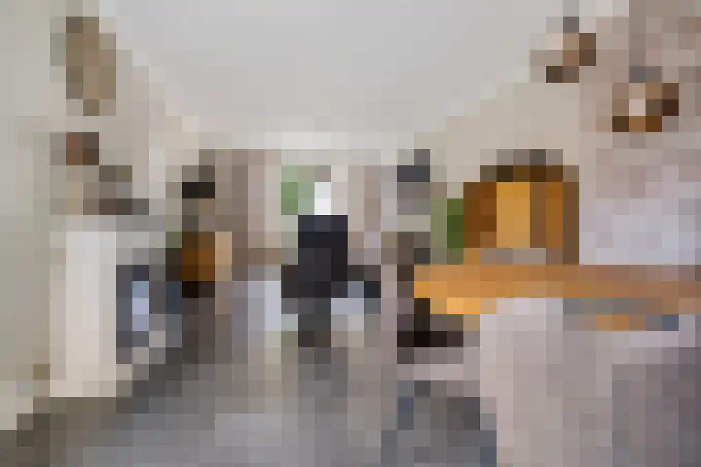 Raadhuisstraat 59 Rucphen thumbnail 10