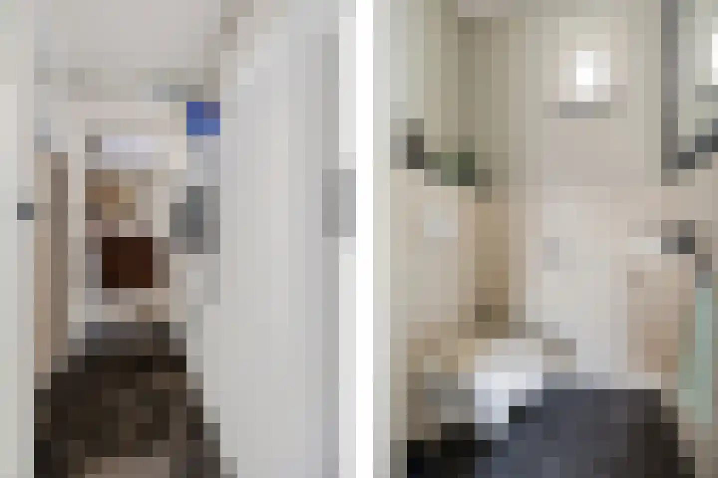 Raadhuisstraat 59 Rucphen thumbnail 14
