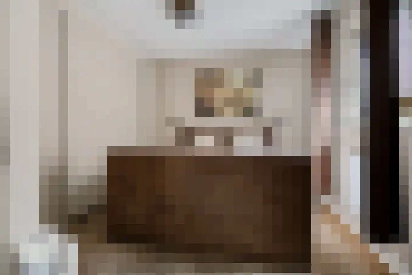 Raadhuisstraat 59 Rucphen thumbnail 16