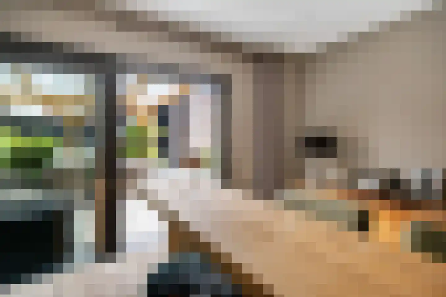 Raadhuisstraat 59 Rucphen thumbnail 27