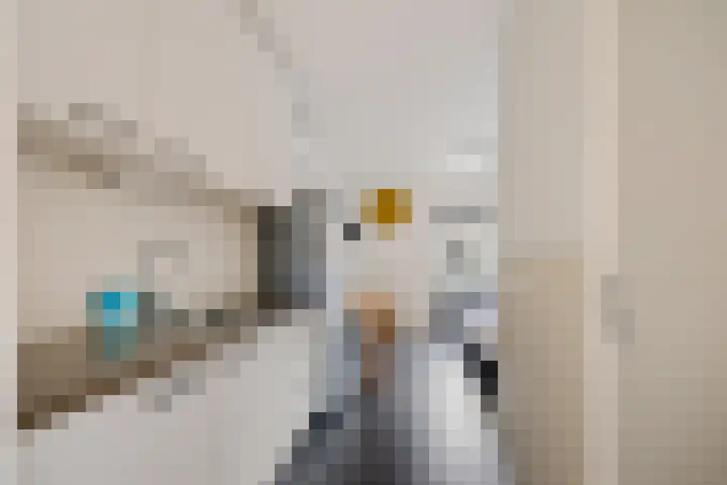 Raadhuisstraat 59 Rucphen thumbnail 34