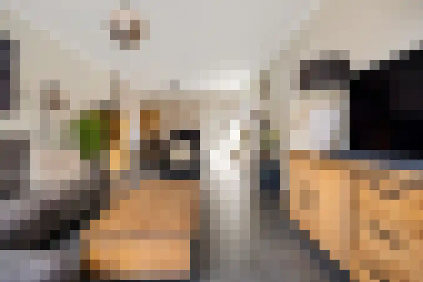 Raadhuisstraat 59 Rucphen thumbnail 4