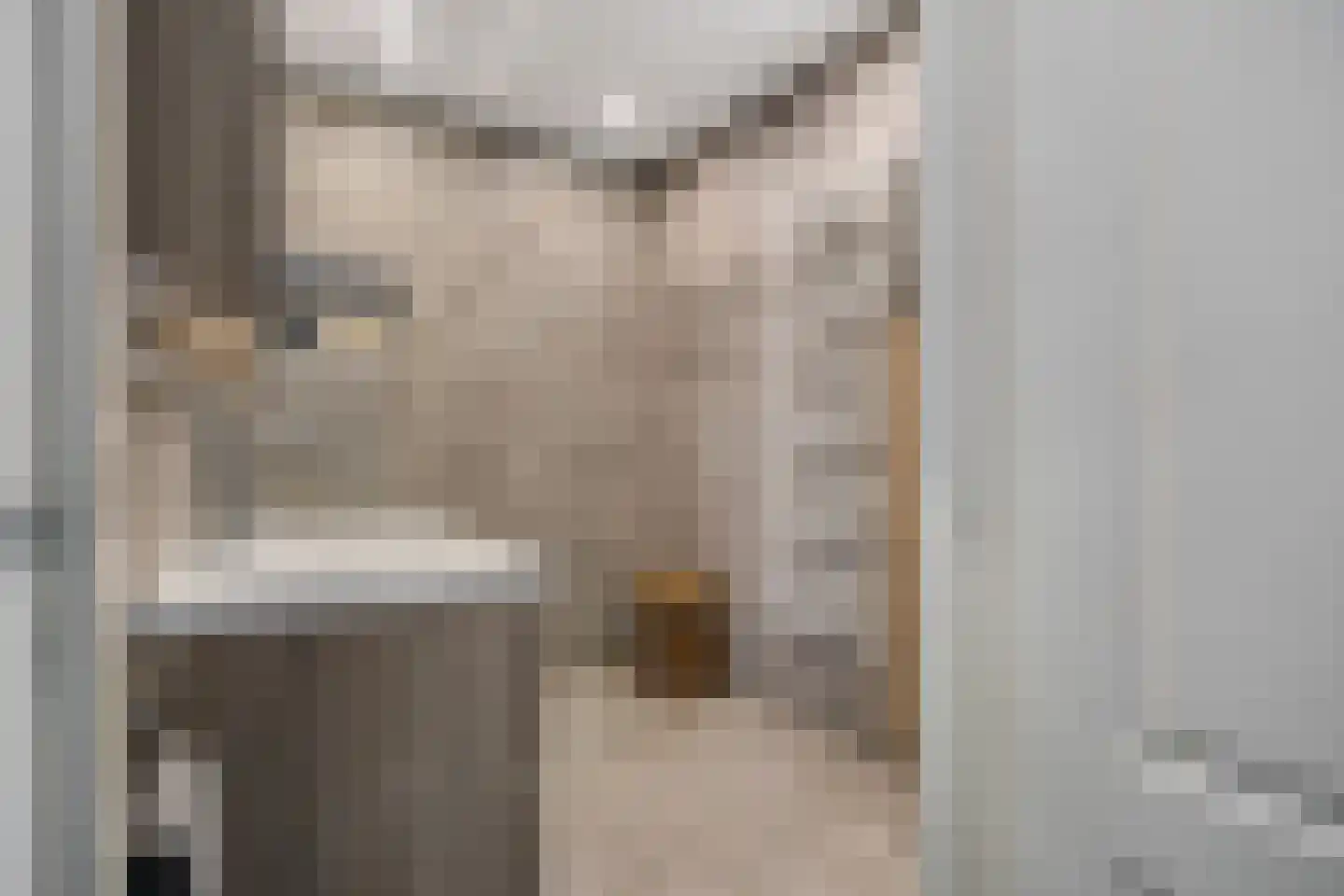 Raadhuisstraat 59 Rucphen thumbnail 5
