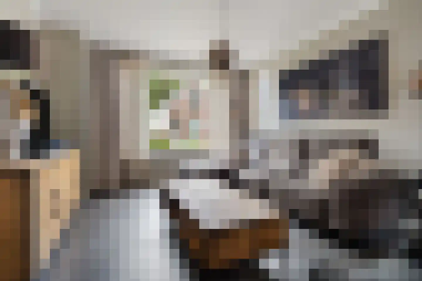 Raadhuisstraat 59 Rucphen thumbnail 8