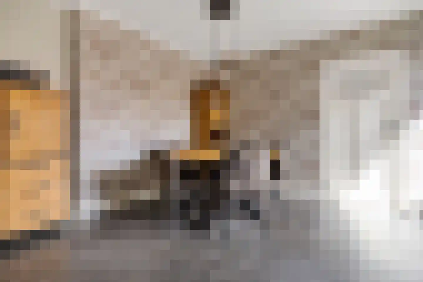 Raadhuisstraat 59 Rucphen thumbnail 9