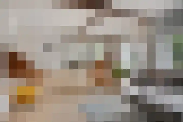Raadhuisstraat 59 Urmond thumbnail 14