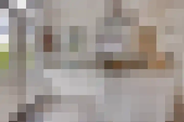 Raadhuisstraat 59 Urmond thumbnail 21