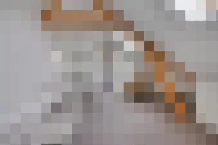 Raadhuisstraat 59 Urmond thumbnail 38