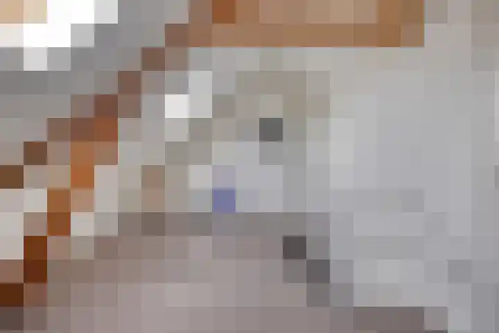 Raadhuisstraat 59 Urmond thumbnail 39
