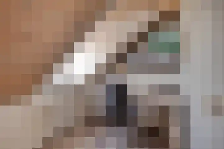 Raadhuisstraat 59 Urmond thumbnail 42