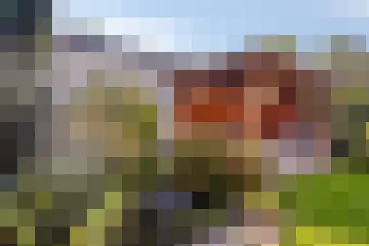 Raadhuisstraat 59 Urmond thumbnail 49