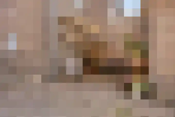 Raadhuisstraat 59 Urmond thumbnail 55