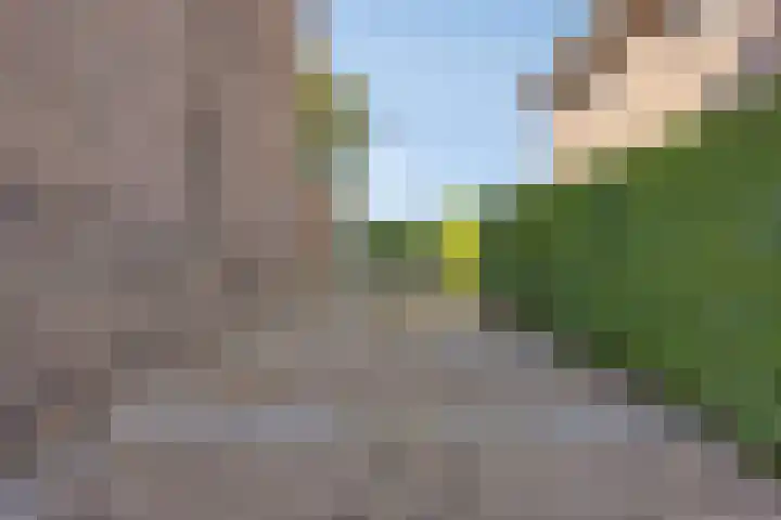 Raadhuisstraat 59 Urmond thumbnail 56