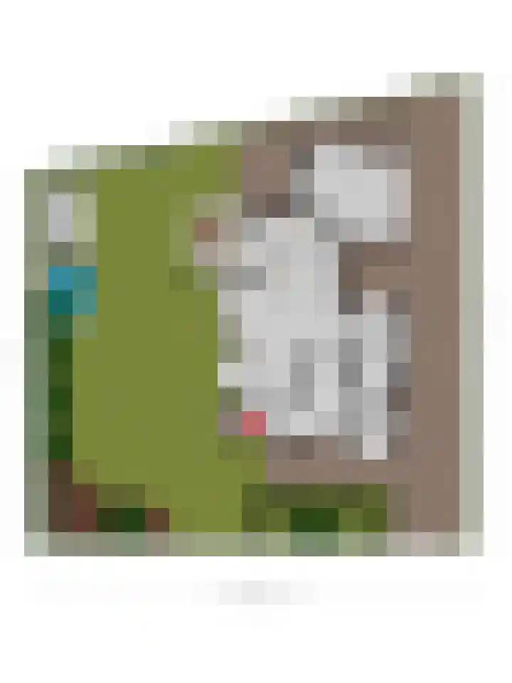 Raadhuisstraat 59 Urmond thumbnail 59