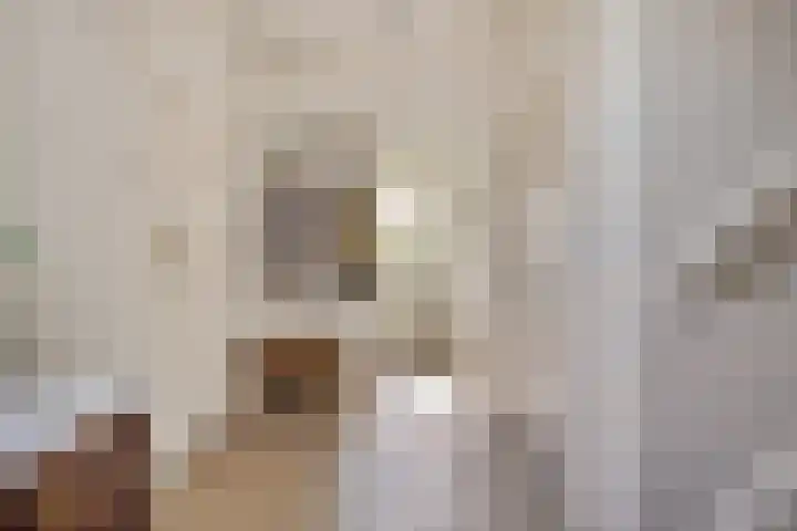 Raadhuisstraat 59 Urmond thumbnail 7