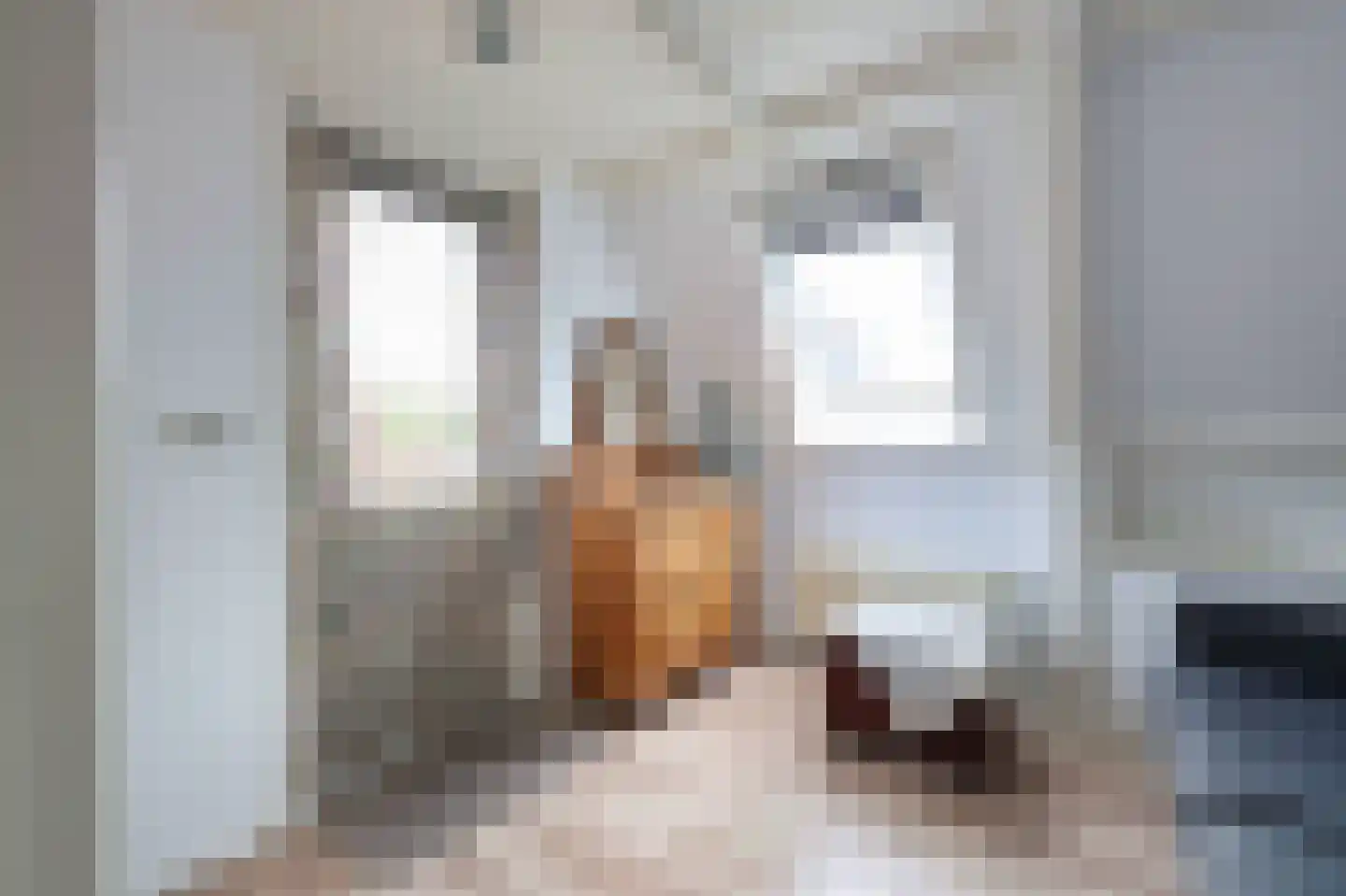 Raadhuisstraat 6 A Bergen (NH) thumbnail 32