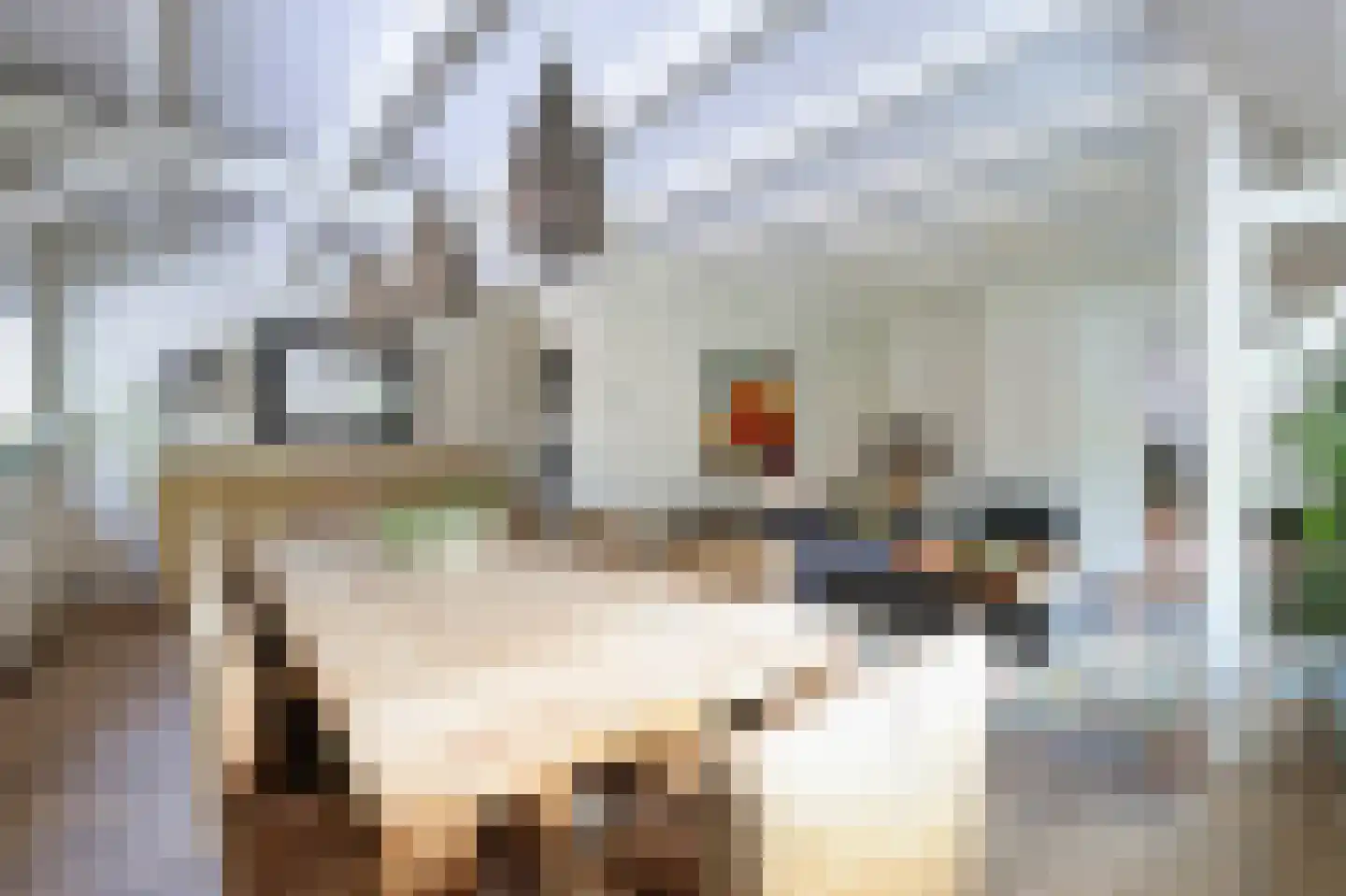 Raadhuisstraat 6 A Bergen (NH) thumbnail 9