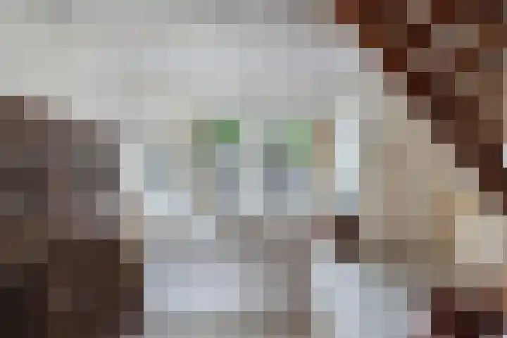 Raadhuisstraat 6 Balk thumbnail 10