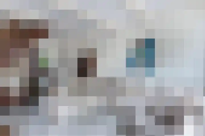 Raadhuisstraat 6 Balk thumbnail 13