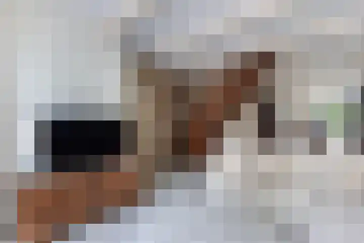Raadhuisstraat 6 Balk thumbnail 14