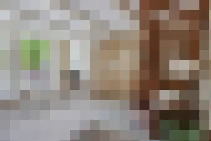 Raadhuisstraat 6 Balk thumbnail 15