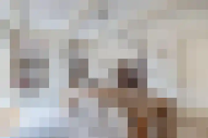 Raadhuisstraat 6 Balk thumbnail 19