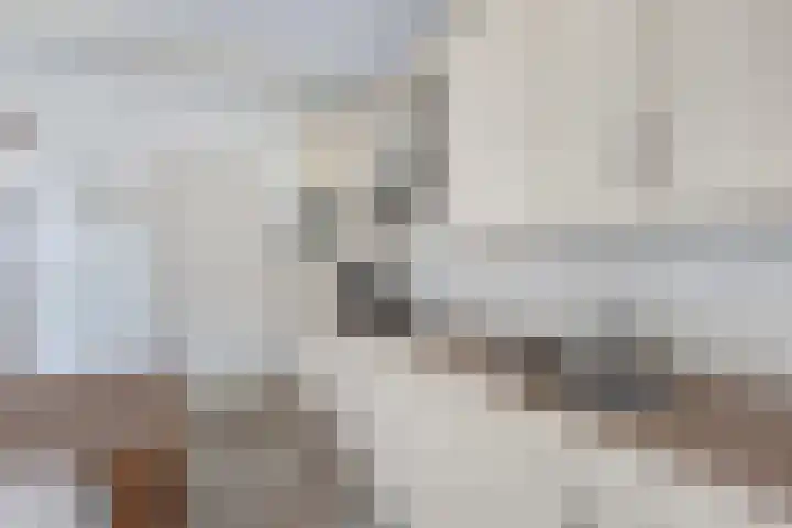 Raadhuisstraat 6 Balk thumbnail 22