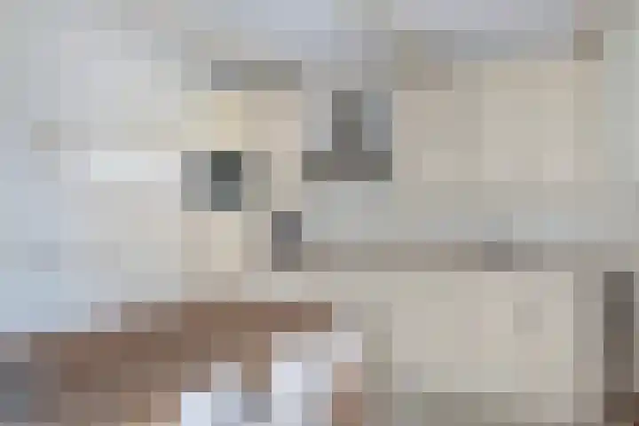 Raadhuisstraat 6 Balk thumbnail 23