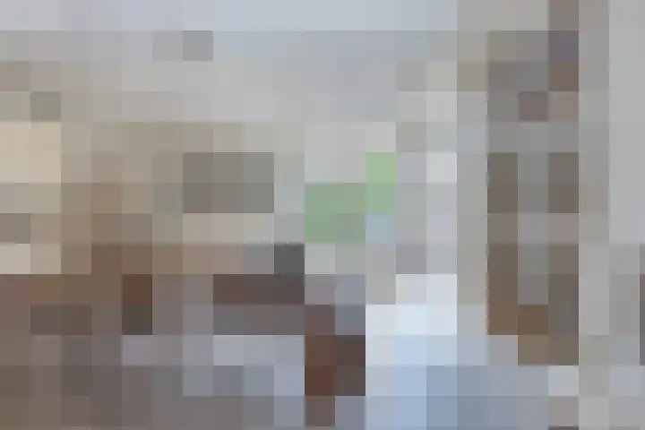 Raadhuisstraat 6 Balk thumbnail 24