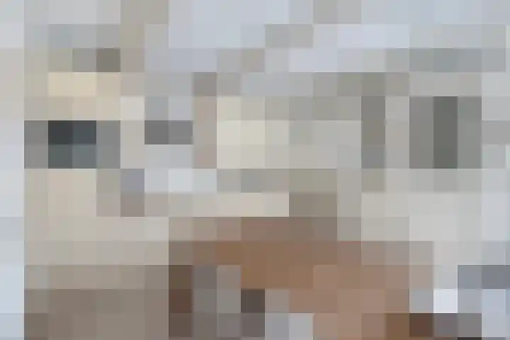 Raadhuisstraat 6 Balk thumbnail 25