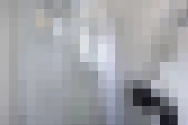 Raadhuisstraat 6 Balk thumbnail 33