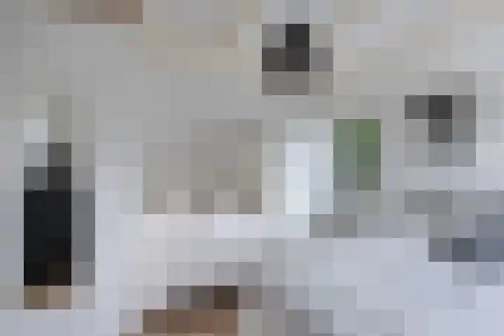 Raadhuisstraat 6 Balk thumbnail 41