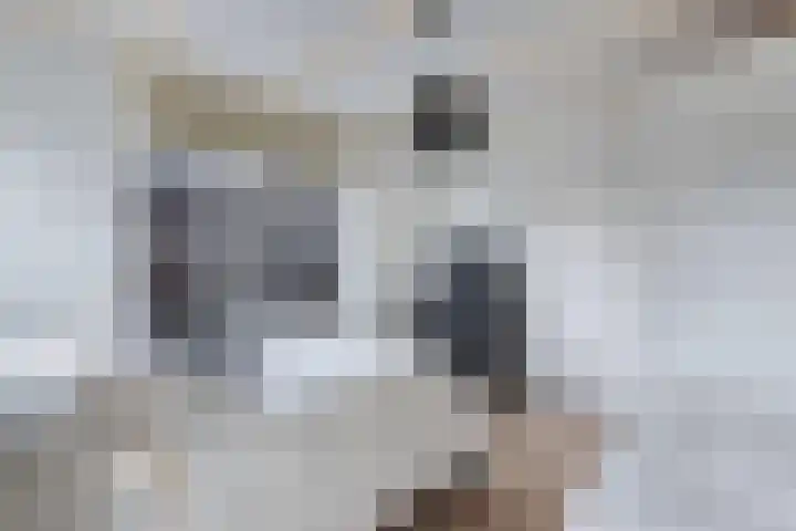 Raadhuisstraat 6 Balk thumbnail 42