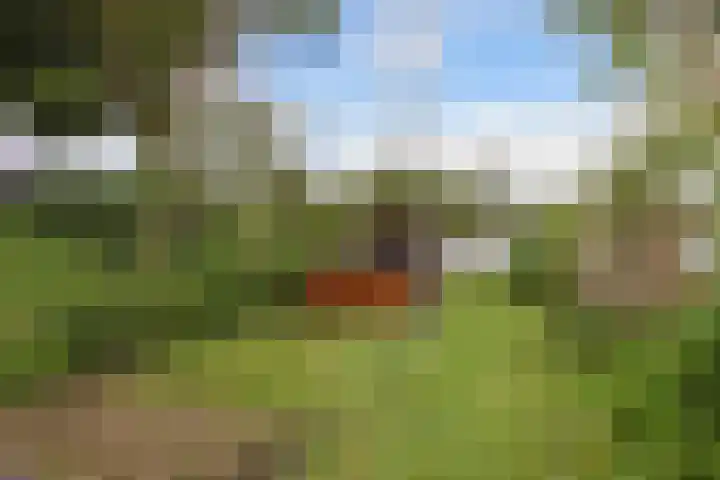 Raadhuisstraat 6 Balk thumbnail 46