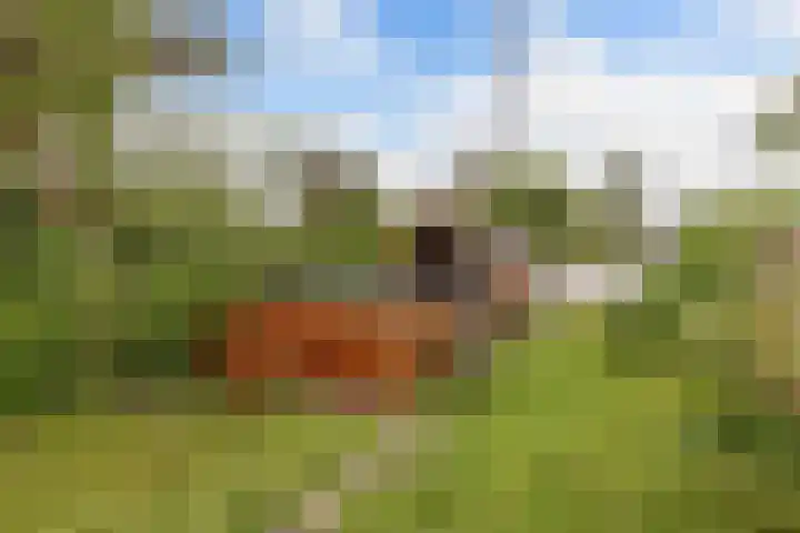 Raadhuisstraat 6 Balk thumbnail 47