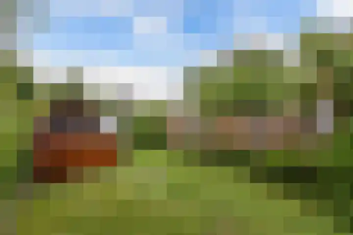 Raadhuisstraat 6 Balk thumbnail 48