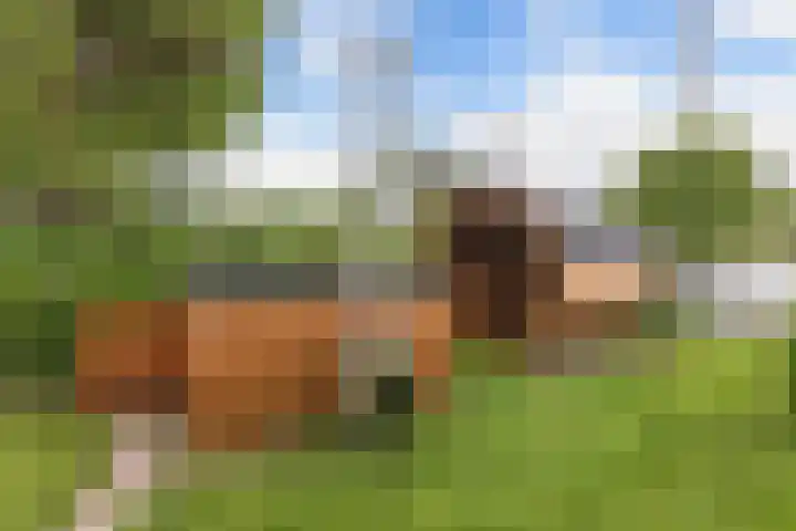 Raadhuisstraat 6 Balk thumbnail 49