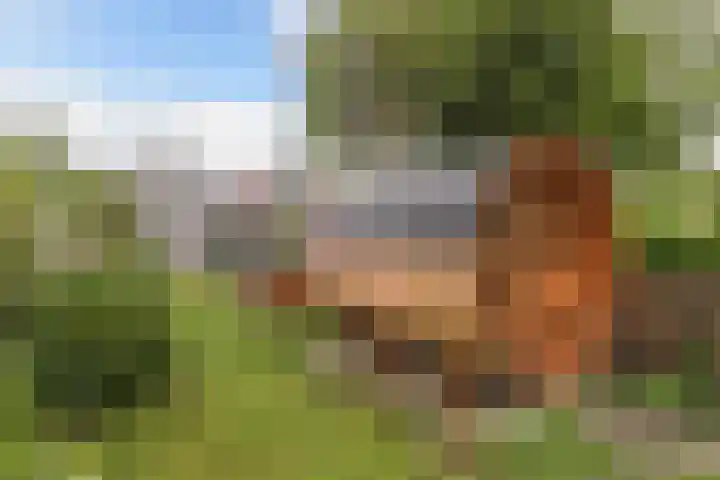 Raadhuisstraat 6 Balk thumbnail 50