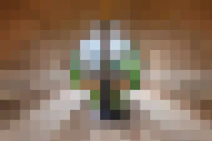 Raadhuisstraat 6 Balk thumbnail 51