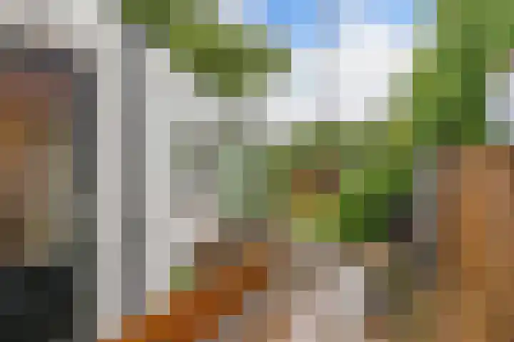 Raadhuisstraat 6 Balk thumbnail 53