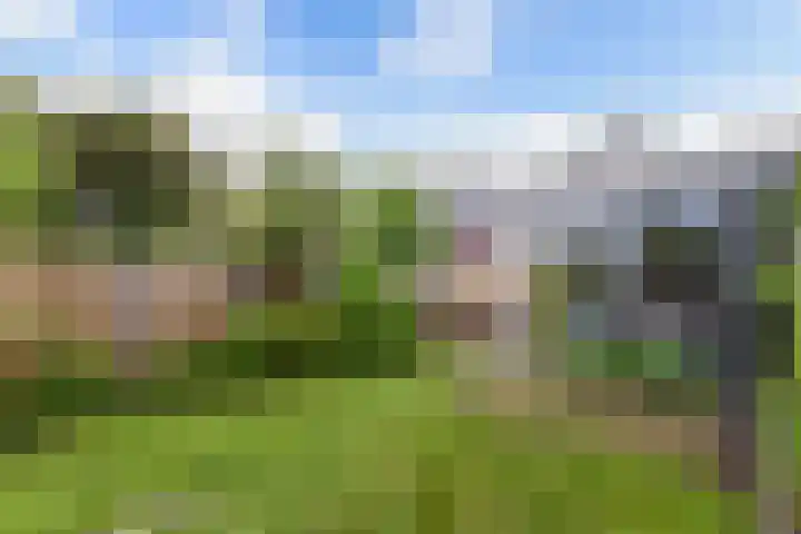 Raadhuisstraat 6 Balk thumbnail 54