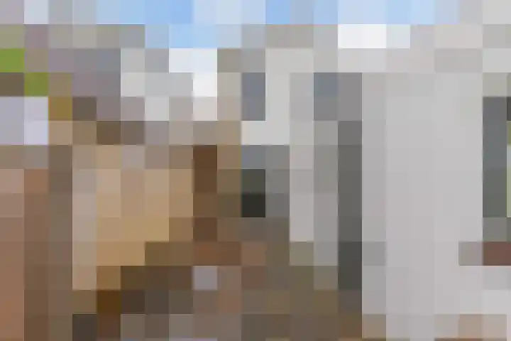 Raadhuisstraat 6 Balk thumbnail 55