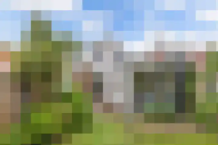 Raadhuisstraat 6 Balk thumbnail 57