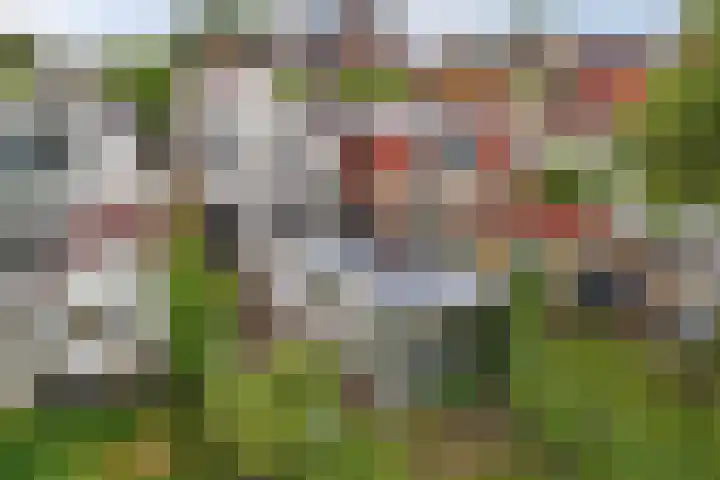 Raadhuisstraat 6 Balk thumbnail 59