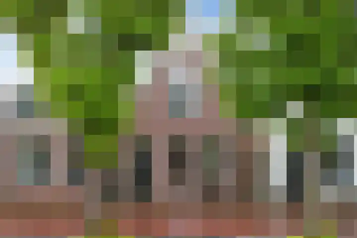 Raadhuisstraat 6 Balk thumbnail 6