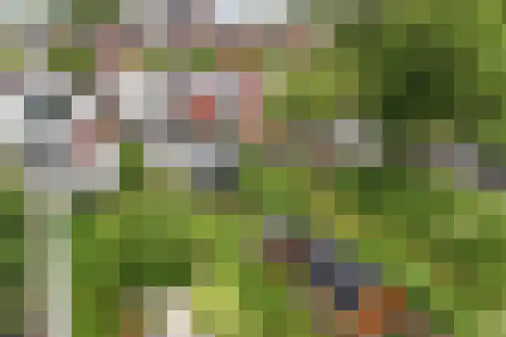 Raadhuisstraat 6 Balk thumbnail 60