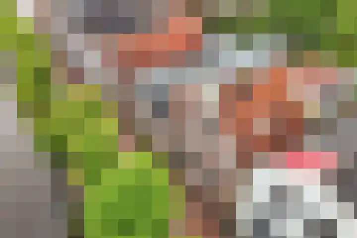 Raadhuisstraat 6 Balk thumbnail 7