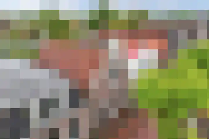 Raadhuisstraat 6 Balk thumbnail 8